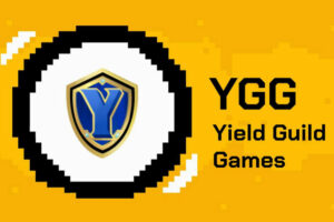 Yield Guild Games rushes to aid its scholars during the downturn