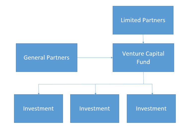 Metaverse venture structure